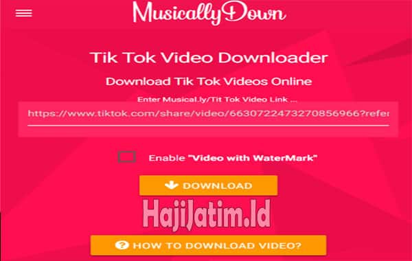 Cara-Menggunakan-Musicallydown-Untuk-Download-Video-TikTok