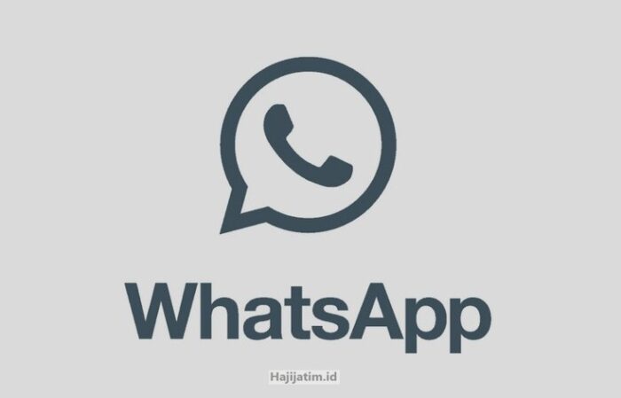 Detail-Mengenai-Aplikasi-WhatsApp