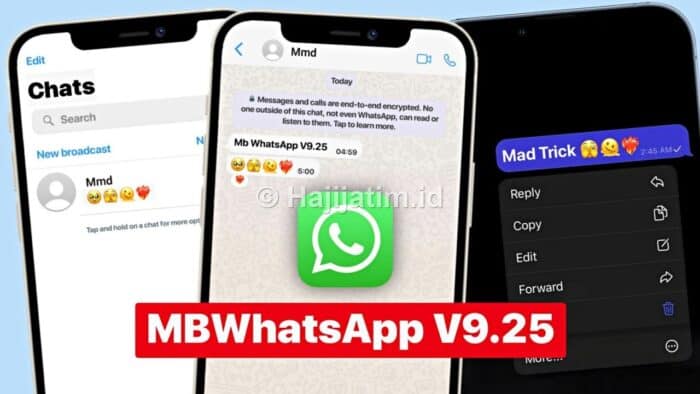 Tips Aman Menggunakan MB WhatsApp