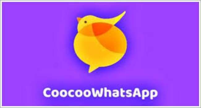 Apa-Itu-CooCoo-WhatsApp?