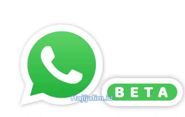 Berikut-Informasi-Terkait-Tentang-WhatsApp-Beta-Apk-Latest