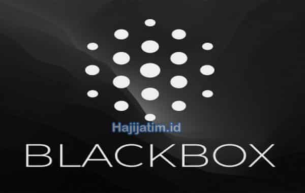 Blackbox-AI-Apk