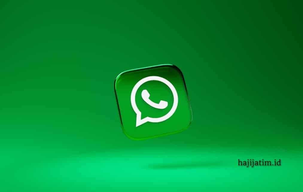 Provid-WhatsApp-future-image-wtm