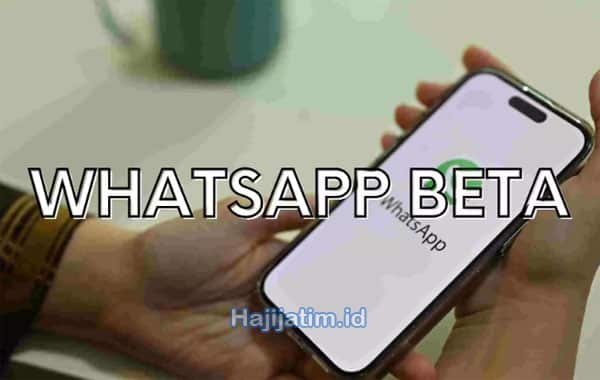 Update-Beragam-Fitur-Unggulan-WhatsApp-Beta-Apk-Yang-Wajib-Diketahui!