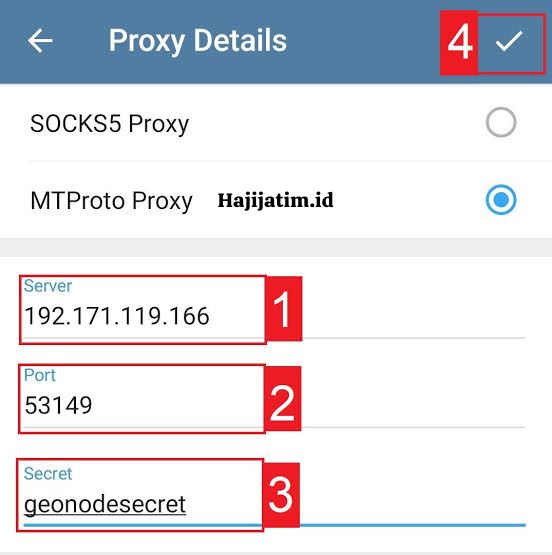 Proxy-Telegram