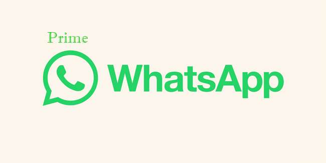 WhatsApp-Prime,-Download-APK-Versi-Terbaru-