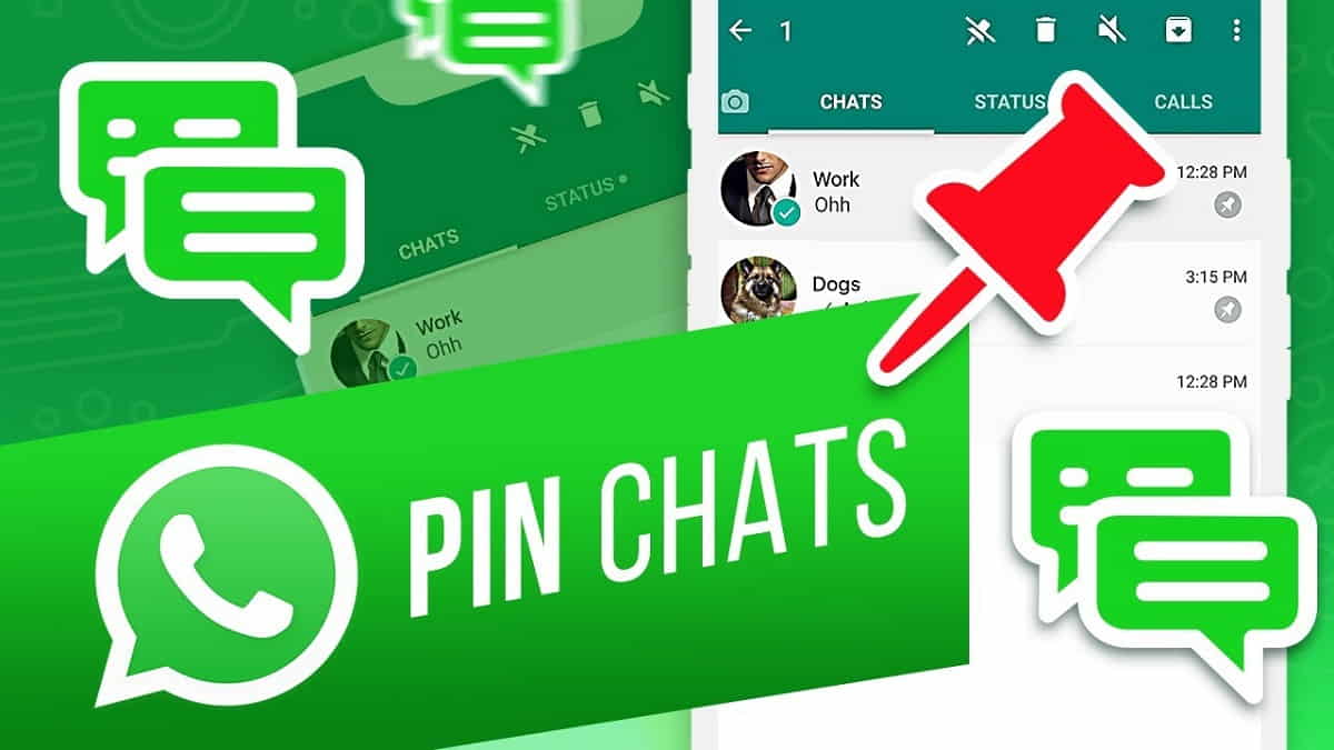 Cara PIN Chat WhatsApp di iPhone, Android dan WA Web 2023