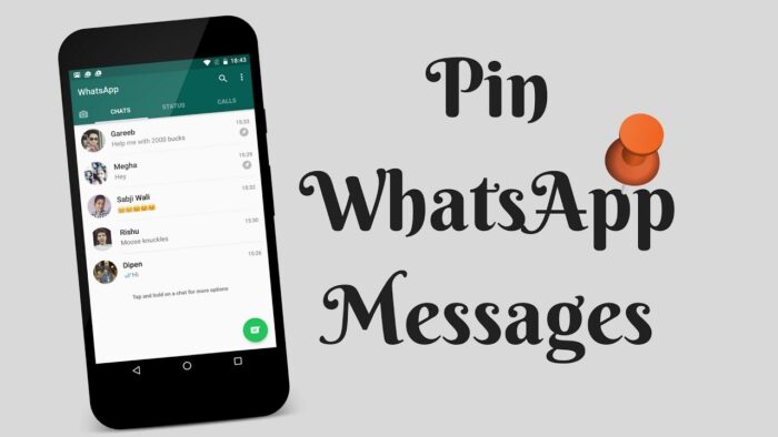 Mengenal PIN Chat di WhatsApp