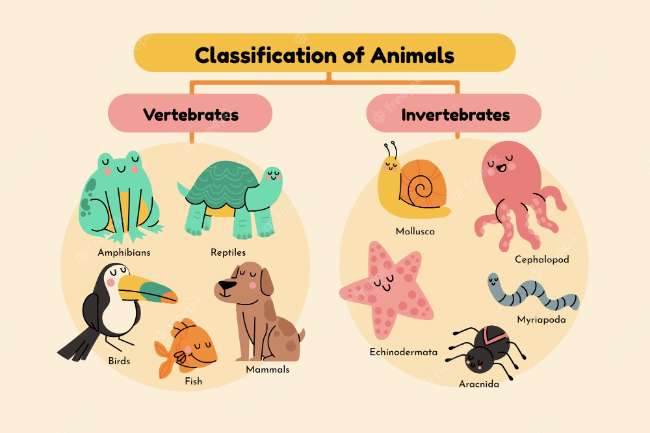 Pengertian-Klasifikasi-Makhluk-Hidup-dalam-Ilmu-Biologi