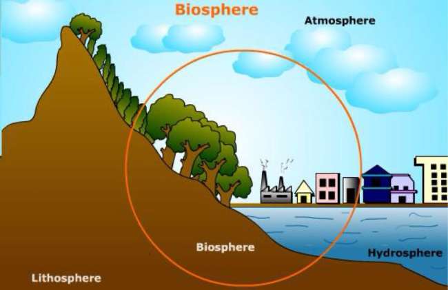 Tingkat Biosfer