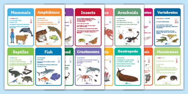 Tingkatan-Taksonomi-dalam-Sistem-Klasifikasi-Makhluk-Hidup