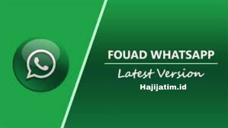 Download-Whatsapp-Fouad-Apk