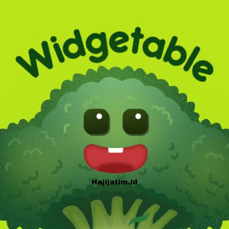Widgetable-Mod-Apk